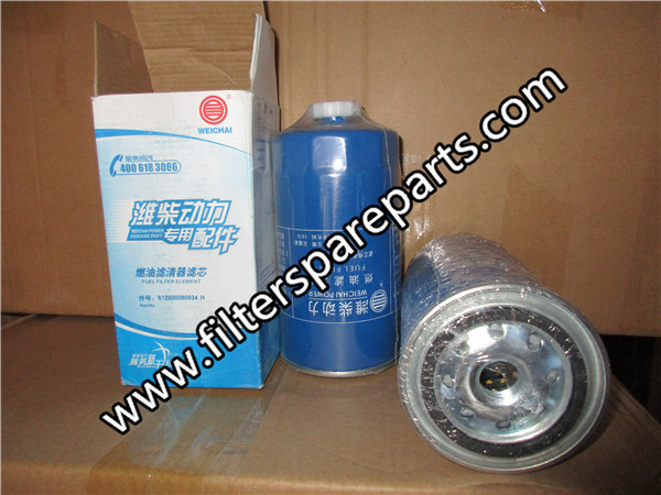 612600080934 Weichai fuel filter